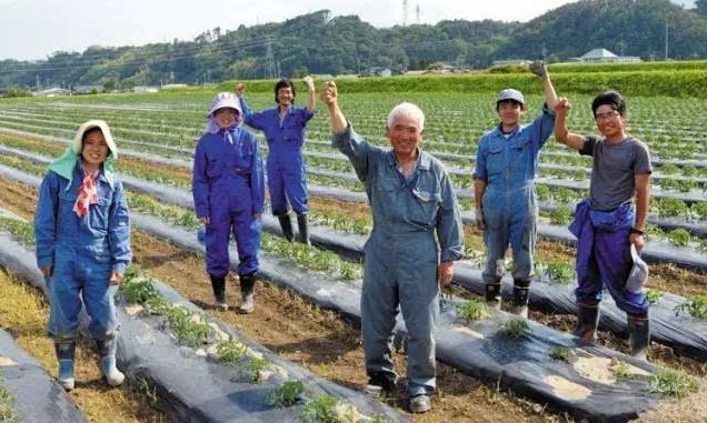 日本勞務(wù)派遣農(nóng)業(yè)類、食品加工、建筑業(yè)、電子業(yè)招聘